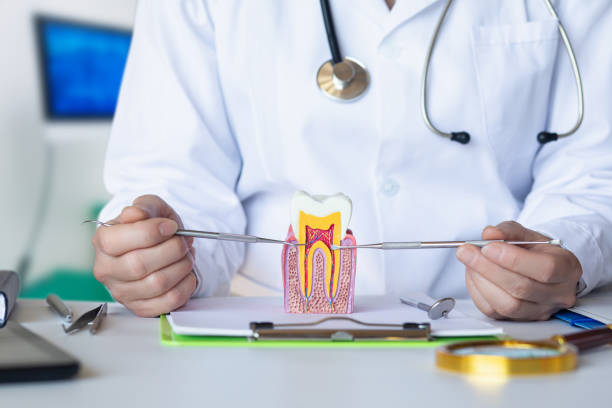 Best Emergency Dental Care for Broken or Chipped Teeth in Stepney, CT
